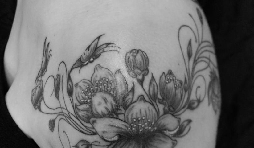 20171031_200927 redim