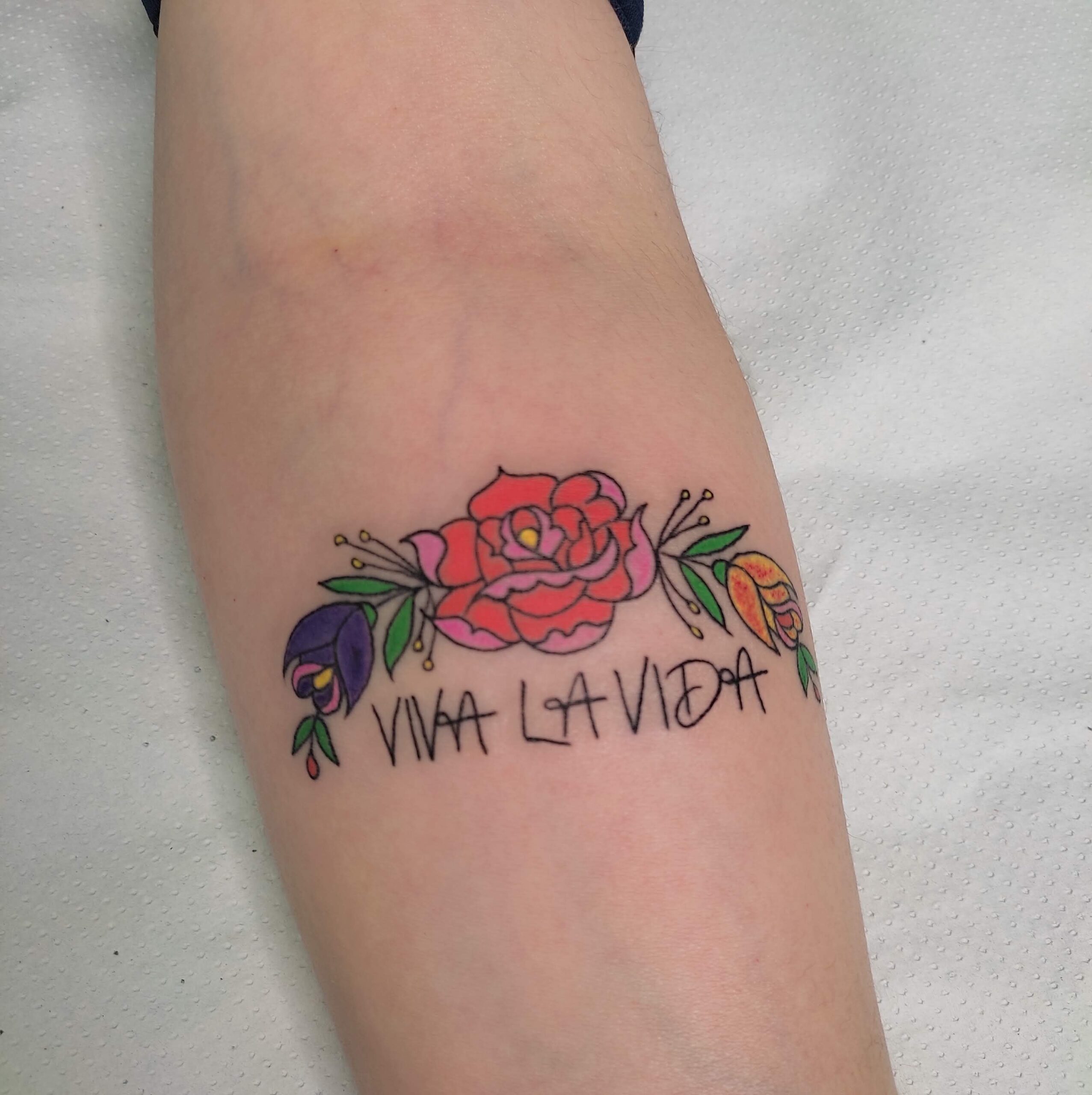 ornamental flores color